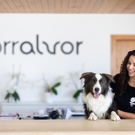 Dunas Do Alvor - Torralvor Kültér fotó